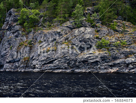 Green rocky sea shore. Background or texture 56884073