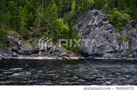 Green rocky shore with pine trees. Background for 56884078
