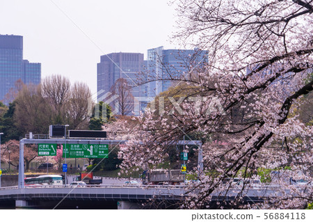 Commuters are travel to Tokyo Expressway in the Commuters are travel to Tokyo Expressway in the 56884118