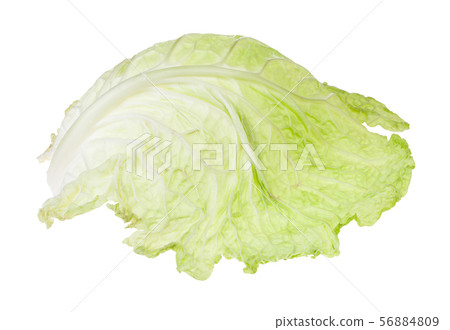 single leaf of savoy cabbage vegetable isolated 56884809