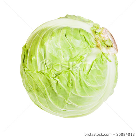 single fresh white cabbage isolated on white single fresh white cabbage isolated on white 56884818