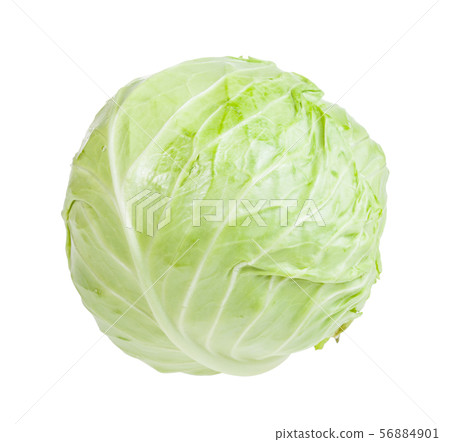 cabbagehead of white cabbage isolated on white cabbagehead of white cabbage isolated on white 56884901