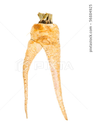 fused roots of garden parsley isolated on white 56884925
