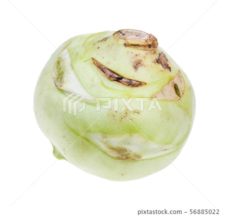 fresh ripe root of kohlrabi cabbage isolated 56885022