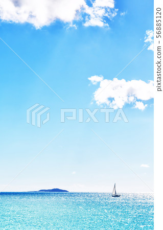 in  australia luxury cruise in a catamaran 56885120