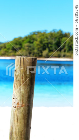 tourism tree and relax in the paradise 56885348