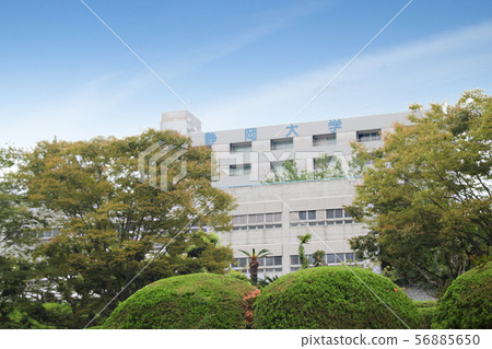 Shizuoka University 56885650