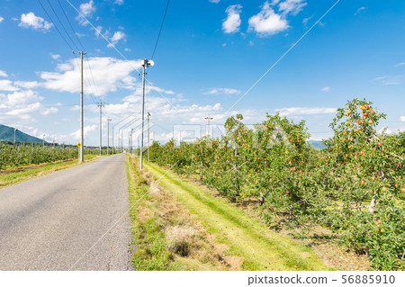 日本阿爾卑斯沙拉路安曇野市 56885910