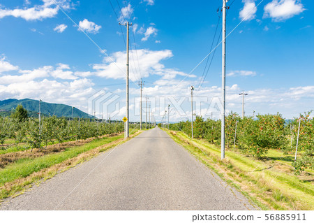 日本阿爾卑斯沙拉路安曇野市 56885911