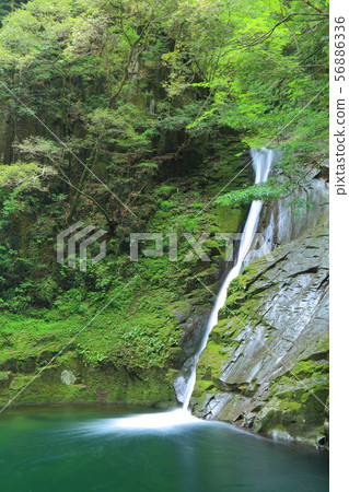 [Mie Prefecture] Akame 48 Waterfalls 56886336