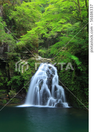 [Mie Prefecture] Akame 48 Waterfall Sente Waterfall 56886337