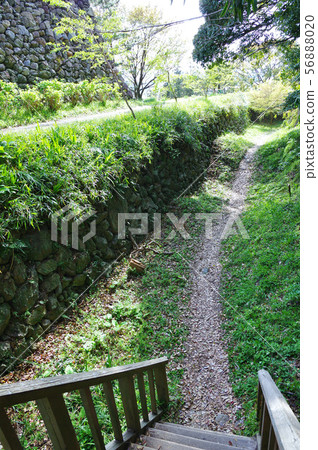 Tamaru城堡Kitanomaru和Honmaru空的護城河 56888020