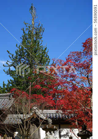 Mount Sugao Mount Sugao 56890091