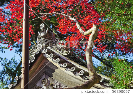 Mt. Kashio, Seimeiji, Omote and Momige Mt. Kashio, Seimeiji, Omote and Momige 56890097