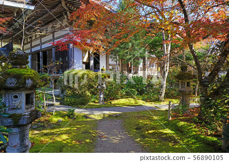 Mt. Kashio, Saimei-ji Temple in autumn Mt. Kashio, Saimei-ji Temple in autumn 56890105