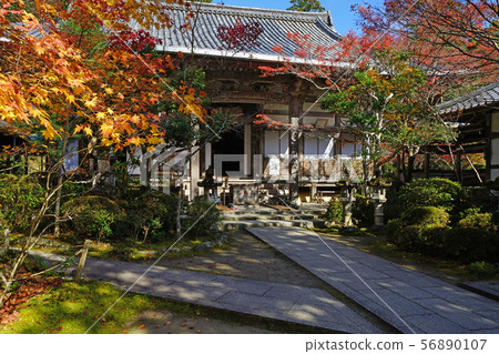 Mt. Kashio, Saimei-ji Temple in autumn 56890107