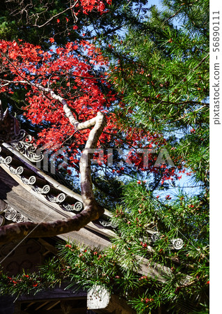 Mt. Kashio, Seimeiji, Omote and Momige Mt. Kashio, Seimeiji, Omote and Momige 56890111
