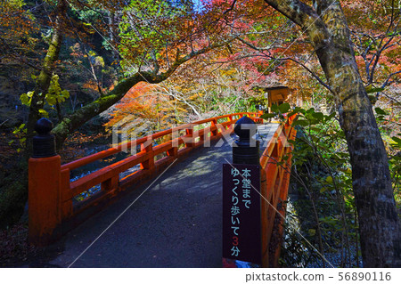 Mt. Washio Seimeji Shizukibashi 56890116