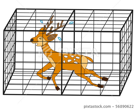 捕獲野鹿。 56890622