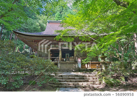 [Women's Takano Muro-ji Temple Main Hall (Kirakudo)] 56890958