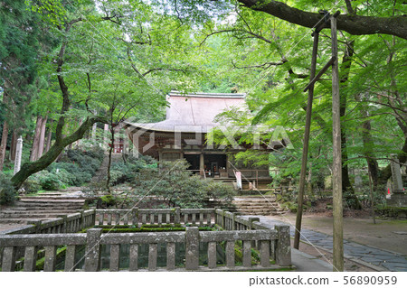 [Women's Takano Muro-ji Temple Main Hall (Kirakudo)] 56890959
