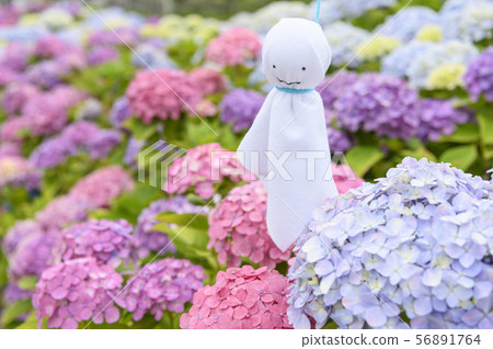 Hydrangea and tertel shaved 56891764