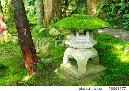Michi no Sato Michi no Sato 56891877