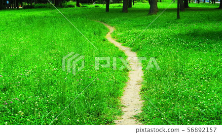 Park Path 56892157