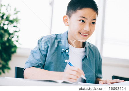 Boy elementary school student study 56892224
