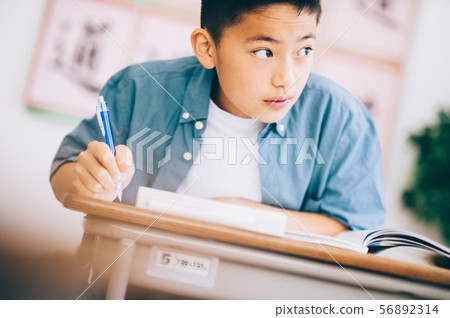 男孩小學學生研究 男孩小學學生研究 56892314