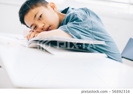 男孩小學學生研究 男孩小學學生研究 56892316