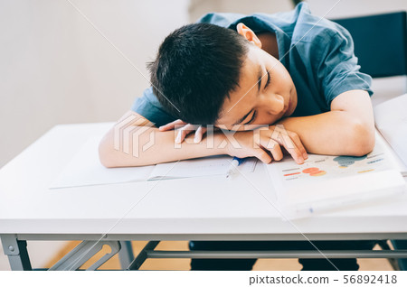 男孩小學學生研究 男孩小學學生研究 56892418