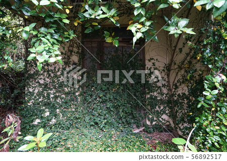 Ruins Kagawa Droid Clinic Waste Hospital Interior Horizontal Shot 56892517