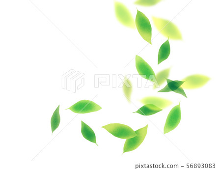 Felt leaf texture 56893083