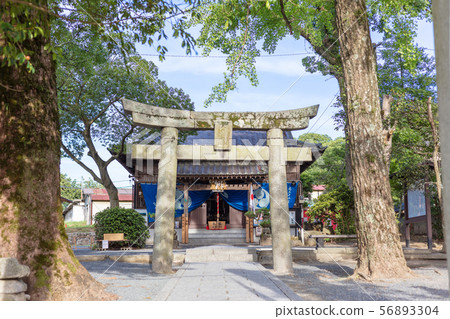 Sakamoto Hachimangu Shrine (in the ruins of the government office of the Dazaifu Government) The land of connection with the new generation "Daiwa", Dazaifu City, Fukuoka Prefecture 56893304
