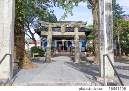 坂本八幡宮(在太宰府政府的廢墟中)與福岡縣太宰府市新一代“大和”的連接之地 坂本八幡宮(在太宰府政府的廢墟中)與福岡縣太宰府市新一代“大和”的連接之地 56893306