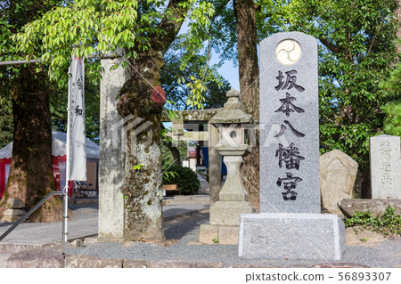 坂本八幡宮(在太宰府政府的廢墟中)與福岡縣太宰府市新一代“大和”的連接之地 坂本八幡宮(在太宰府政府的廢墟中)與福岡縣太宰府市新一代“大和”的連接之地 56893307