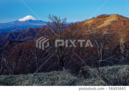 Mount Fuji at dawn seen from Mt. Tanzawa Mount Fuji at dawn seen from Mt. Tanzawa 56893665