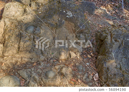 在神奈川縣伊勢原大山的山路上的牡丹岩 56894198