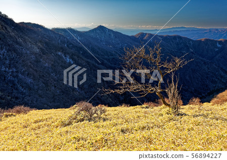 從Tanzawa山脊線看的Tonodake和Nabewari山脊早晨 從Tanzawa山脊線看的Tonodake和Nabewari山脊早晨 56894227