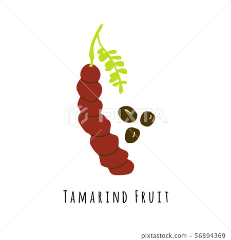Tamarind fruit flat vector illustration Tamarind fruit flat vector illustration 56894369