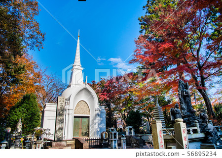 Takaoyama Yakuin Stupa Stupa of colored leaves in Tokyo 56895234