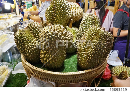 Durian, durian, Durio zibethinus Durian, durian, Durio zibethinus 56895319