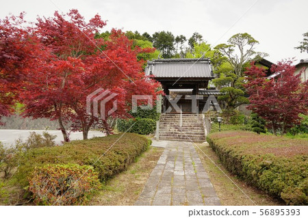 Temple (Nagamatsuyama / Toganji) 56895393