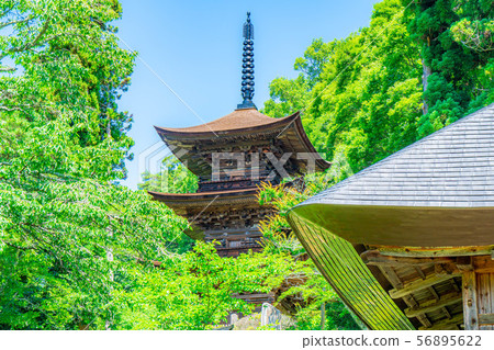 National Treasure Daiho-ji Mie Tower Aoki Village [Nagano Prefecture] 56895622