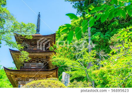 National Treasure Daiho-ji Mie Tower Aoki Village [Nagano Prefecture] 56895623