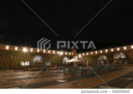 Kurashiki beauty district Ivy Square 56895685