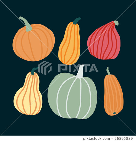 Hand draw Pumpkin Set in simple Doodle Style. Vector illustration Pumpkins in Pastel color of Hand draw Pumpkin Set in simple Doodle Style. Vector illustration Pumpkins in Pastel color of 56895889