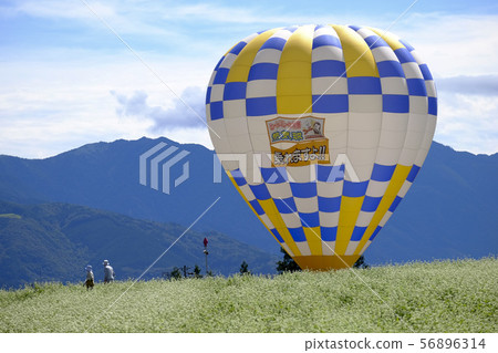 Hot air balloon and soba field Hot air balloon and soba field 56896314