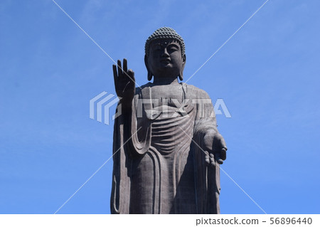 Ushiku Daibutsu世界上最大的銅像 56896440
